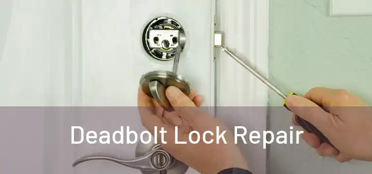 Deadbolt Lock Repair 