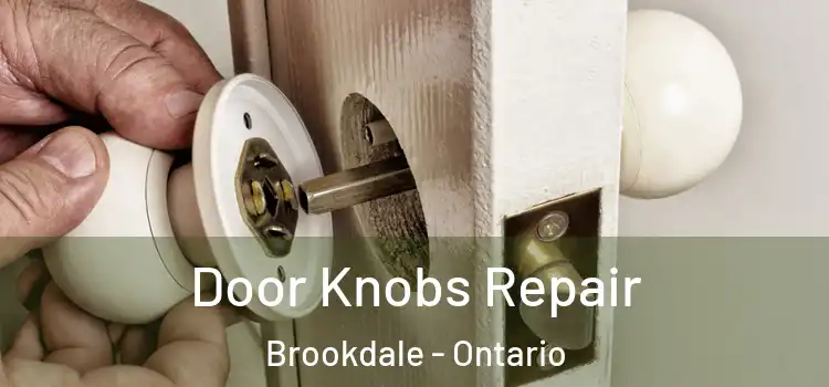 Door Knobs Repair Brookdale - Ontario